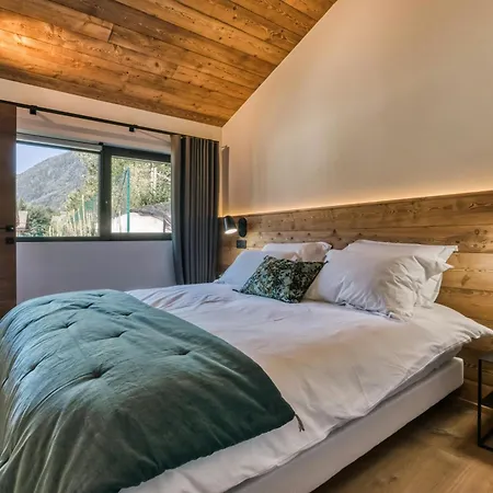 With Jacuzzi Facing The Alps In Holiday home *